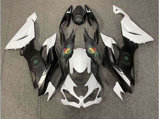 Faccia Felice 2019-2023 Kawasaki ZX6R Carénage Moto Faccia Felice 2019-2023 Kawasaki ZX6R Carénage Moto