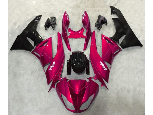 Rouge Vif Brillant 2009-2012 Kawasaki ZX6R Carénage Moto Rouge Vif Brillant 2009-2012 Kawasaki ZX6R Carénage Moto