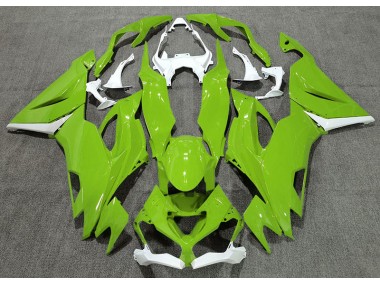 Vert Brillant & Blanc 2019-2023 Kawasaki ZX6R Carénage Moto